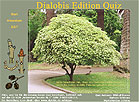 gratis download